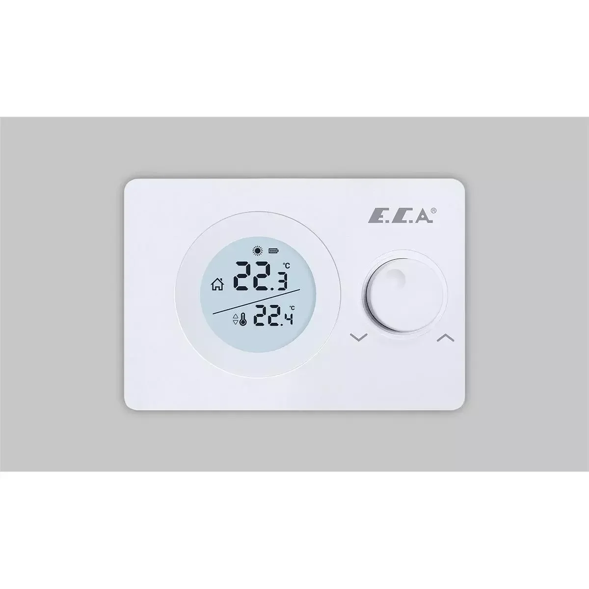 E.C.A. Poly Pure 100 W